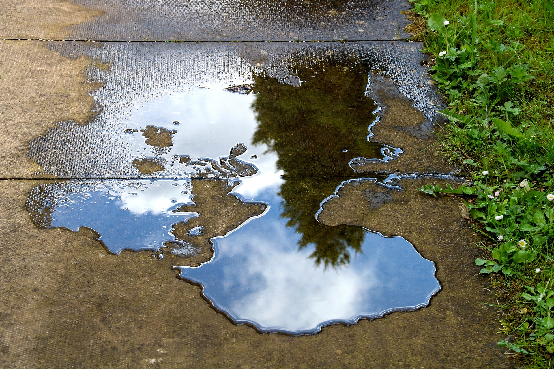 Puddle reflecting tree and sky on pavement