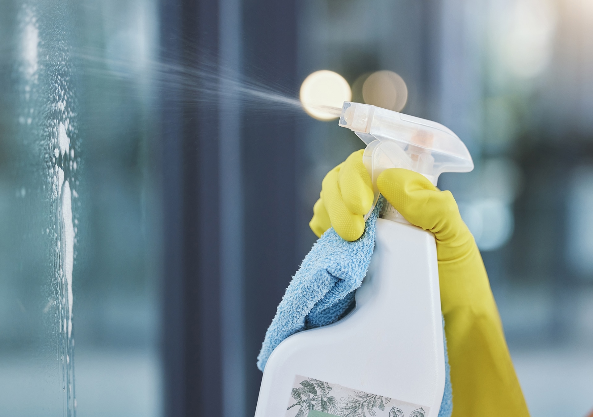 Cleaning window with spray and cloth.