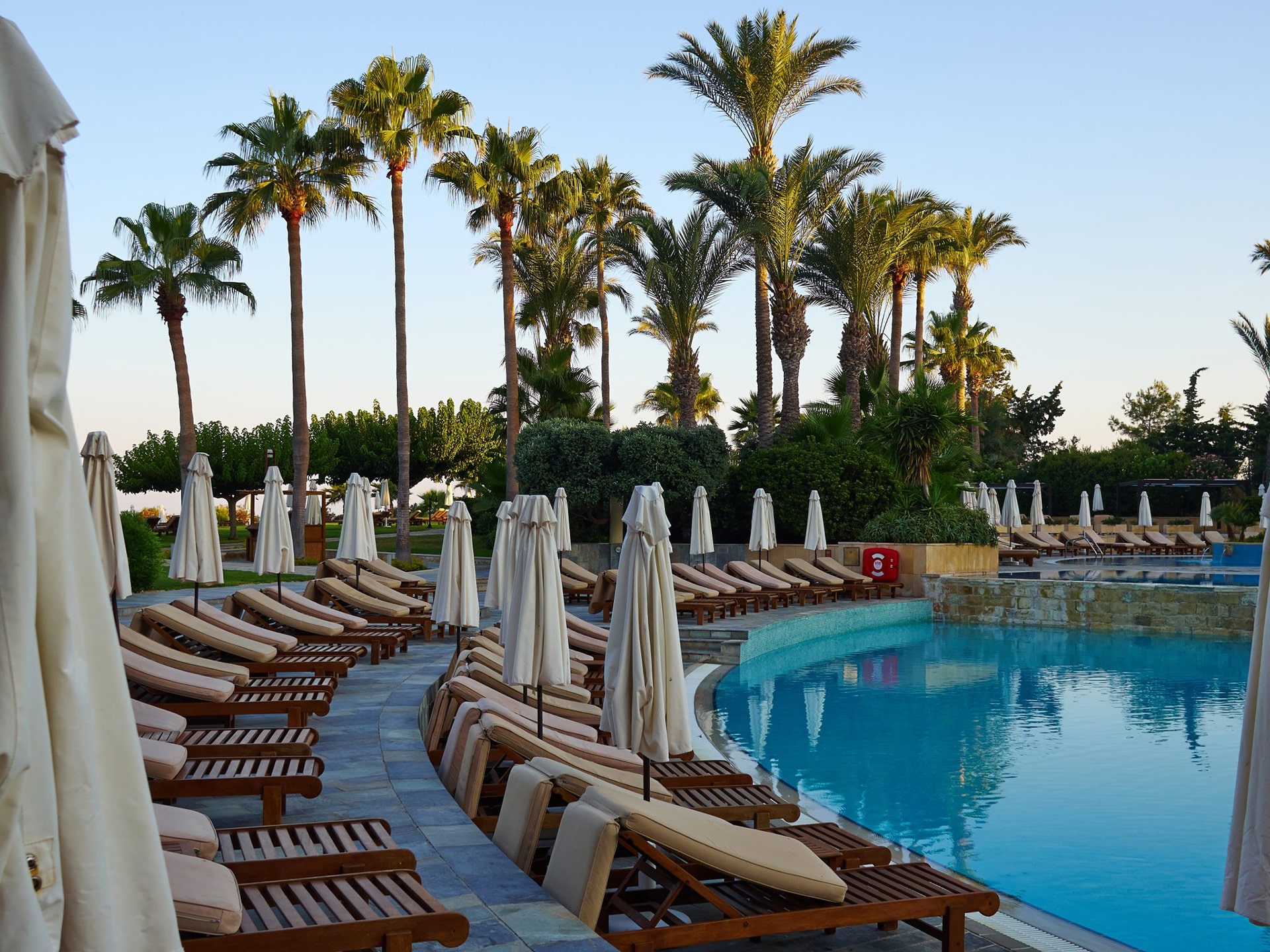 Luxurious poolside with loungers and palm trees.