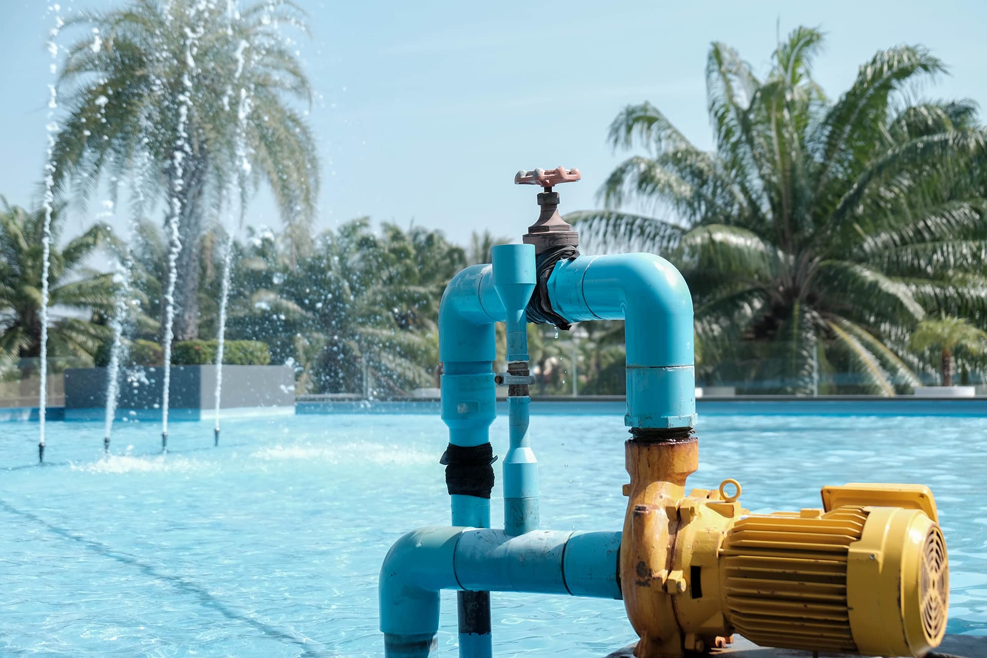 Poolside blue piping with palm trees background